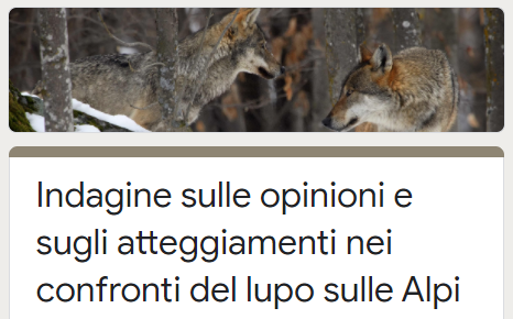 indagine lupo
